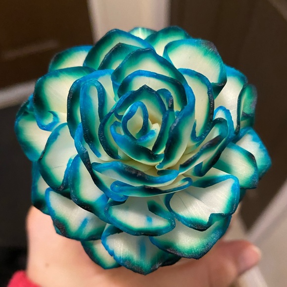 Meet your Posher, Charlotte - Picture 1 of 1